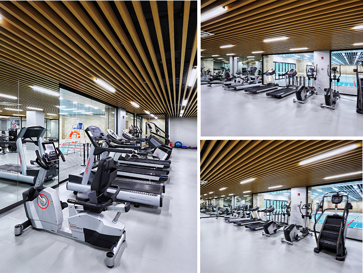 健身(shēn)區(qū)